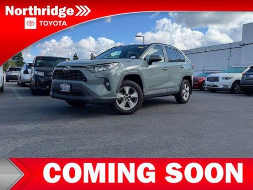 Lunar Rock 2019 Toyota RAV4 XLE