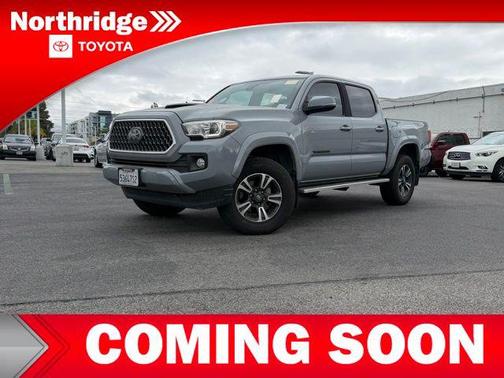 Cement 2019 Toyota Tacoma TRD Sport