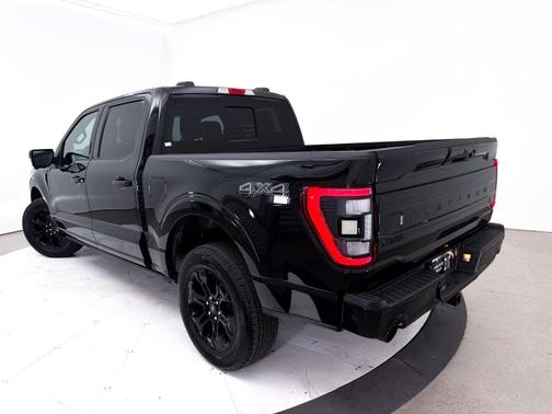 Black Metallic 2023 Ford F-150 Platinum