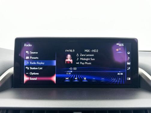 Nebula Gray Pearl 2021 Lexus NX 300 F Sport