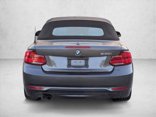 2019 BMW 230 230i