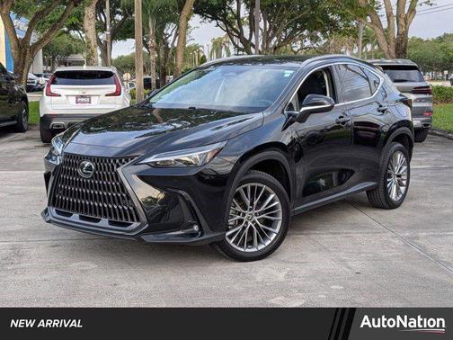 Cloudburst Gray 2023 Lexus NX 350h Premium
