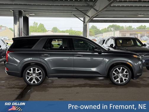 Rainforest 2020 Hyundai PALISADE SEL
