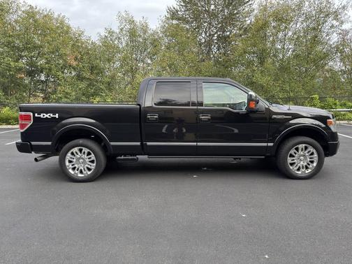 2013 Ford F-150 Platinum