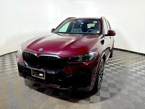 Ametrin Metallic 2024 BMW X5 xDrive40i