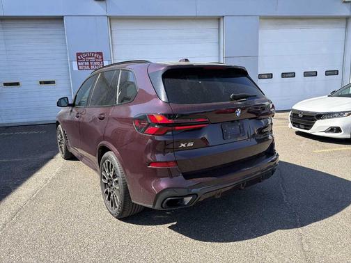 Ametrin Metallic 2024 BMW X5 xDrive40i
