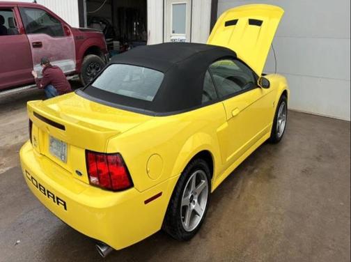 2003 Ford Mustang SVT Cobra