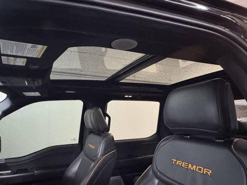 2024 Ford F-150 Tremor