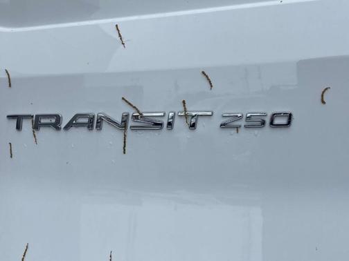 2025 Ford Transit-250 148 WB Medium Roof Cargo