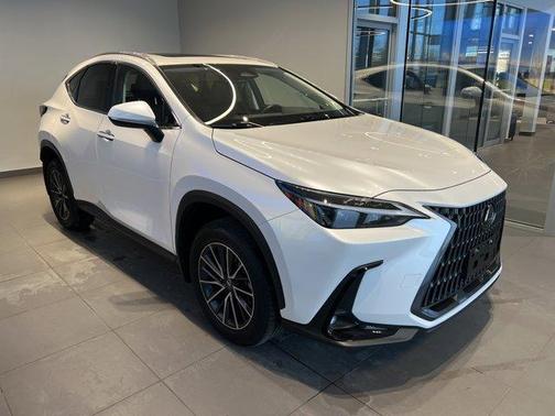 2024 Lexus NX 350 Base