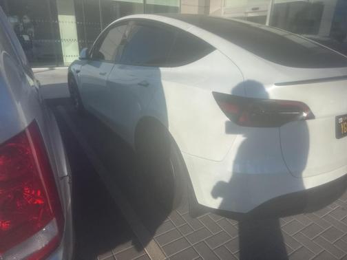 2025 Tesla Model Y Performance Dual Motor All-Wheel Drive