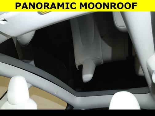 2024 Tesla Model Y Performance Dual Motor All-Wheel Drive