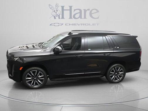 Black Raven 2024 Cadillac Escalade Sport