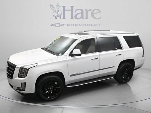 Crystal White Tri-Coat 2019 Cadillac Escalade Luxury
