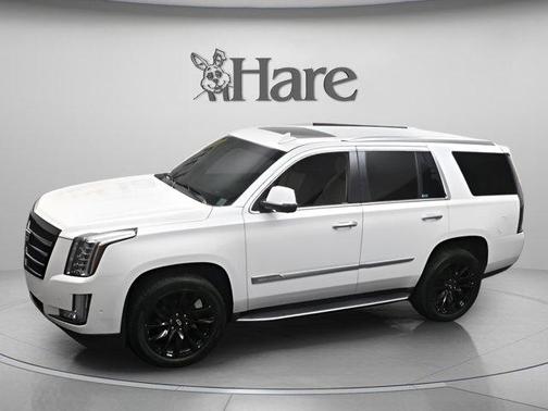 2019 Cadillac Escalade Luxury