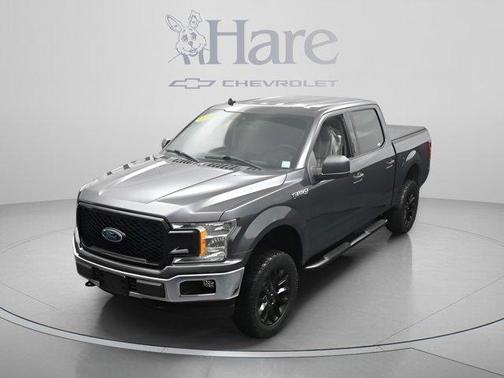Magnetic 2019 Ford F-150 XLT