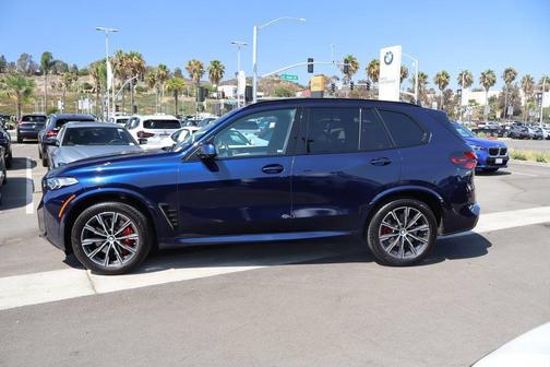 Tanzanite Blue II Metallic 2024 BMW X5 sDrive40i