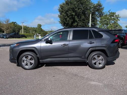 Magnetic Gray Metallic 2025 Toyota RAV4 Hybrid XLE
