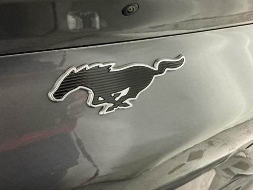 2023 Ford Mustang Mach-E California Route 1
