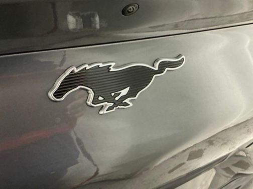 2023 Ford Mustang Mach-E California Route 1