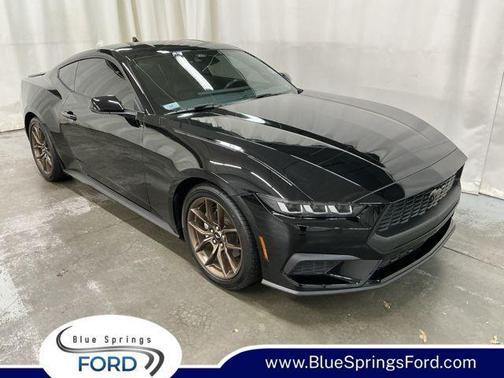 SHADOW BLACK 2024 Ford Mustang EcoBoost Premium