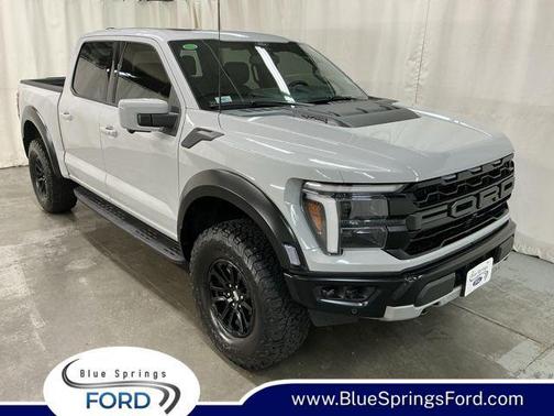 AVALANCHE 2024 Ford F-150 Raptor