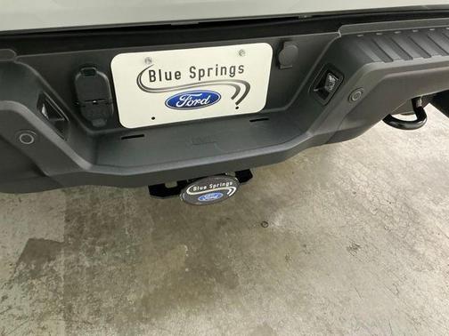 AVALANCHE 2024 Ford F-150 Raptor