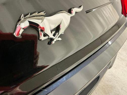 ANTIMATTER BLUE 2021 Ford Mustang EcoBoost