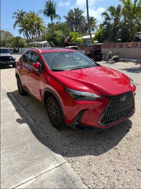 Redline 2024 Lexus NX 250 Premium