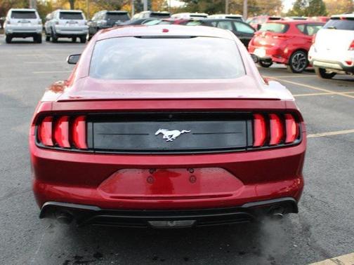 2019 Ford Mustang EcoBoost