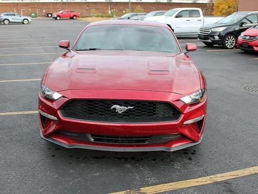 2019 Ford Mustang EcoBoost