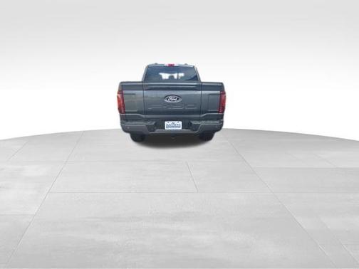 Gray Metallic 2025 Ford F-150 Platinum