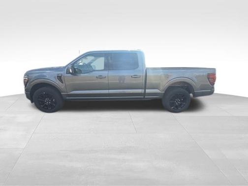 Gray Metallic 2025 Ford F-150 Platinum