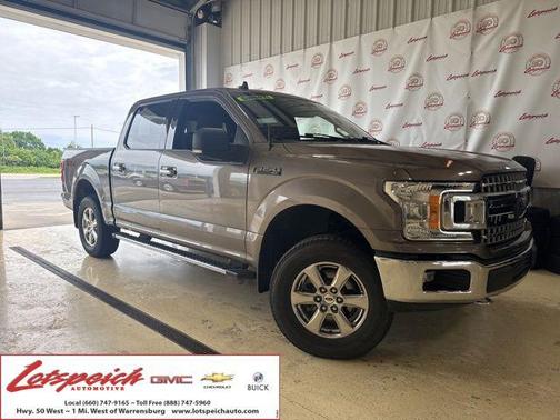 Stone Gray Metallic 2019 Ford F-150 XLT