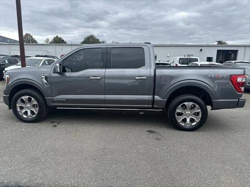 2021 Ford F-150 PLATINUM