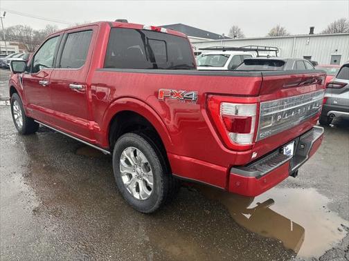 2021 Ford F-150 PLATINUM