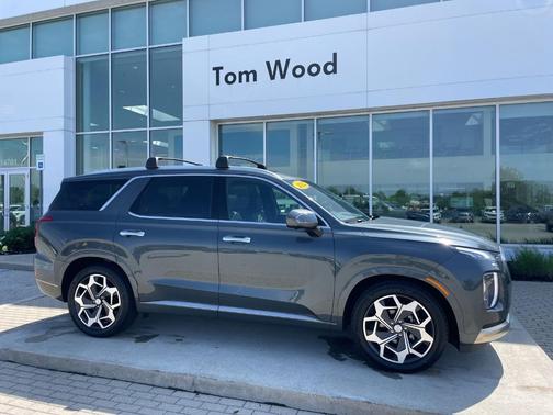 Rainforest 2022 Hyundai PALISADE Calligraphy