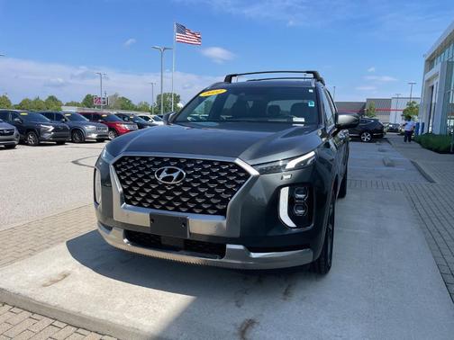 Rainforest 2022 Hyundai PALISADE Calligraphy