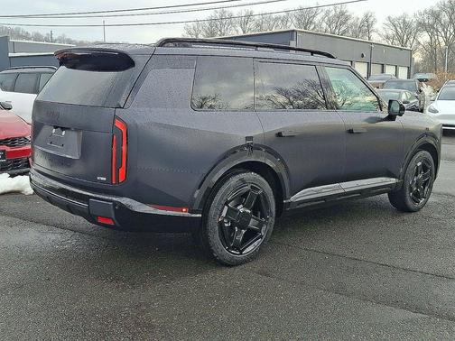 Panthera Metal Matte 2027 Kia Telluride X-Line SX