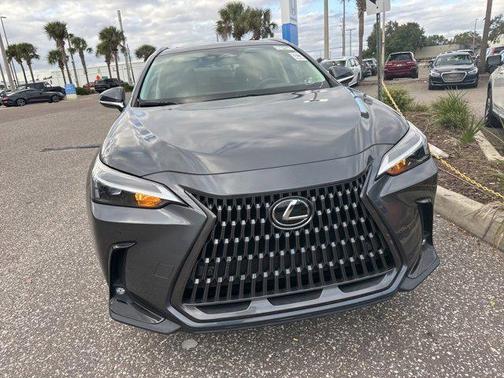 2024 Lexus NX 250 Premium