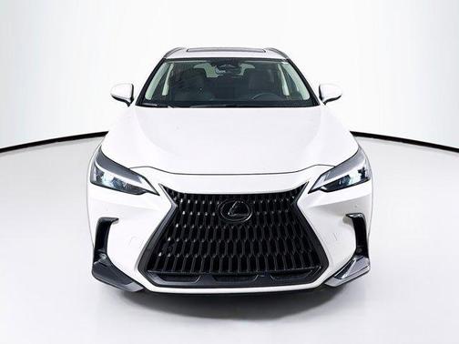 2023 Lexus NX 250 Premium