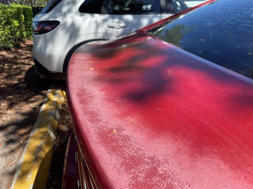 Scarlet Red 2018 Hyundai SONATA SEL