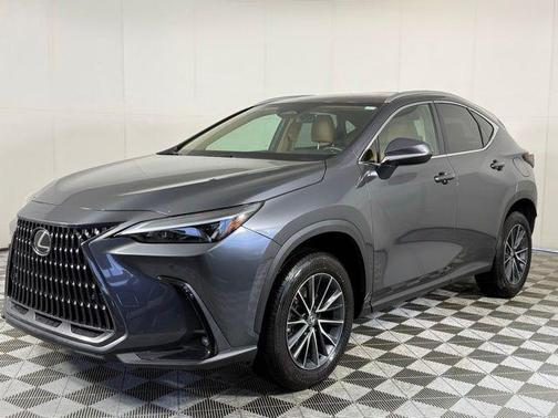 Cloudburst Gray 2025 Lexus NX 250 Premium