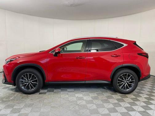 Redline 2025 Lexus NX 250 Premium