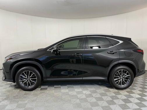 2025 Lexus NX 250 Premium