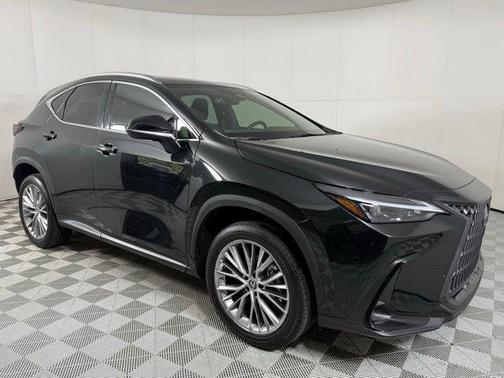 2023 Lexus NX 350h Premium