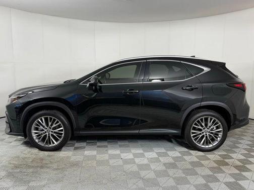 2023 Lexus NX 350h Premium