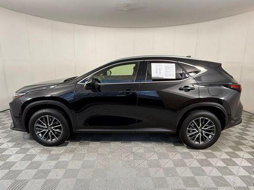 2024 Lexus NX 250 Premium