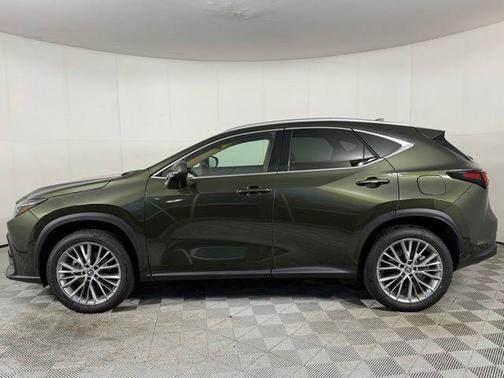 2025 Lexus NX 350h Premium