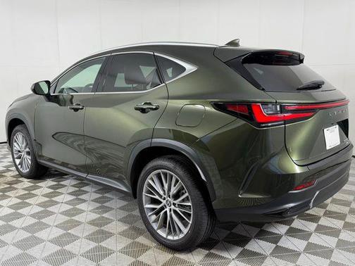 2025 Lexus NX 350h Premium